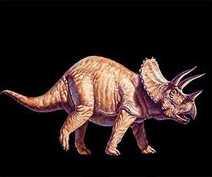 different triceratops