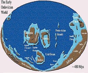 Life In Ordovician Oceans