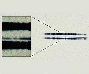 1917 astronomical plate has first-ever evidence of exoplanetary system