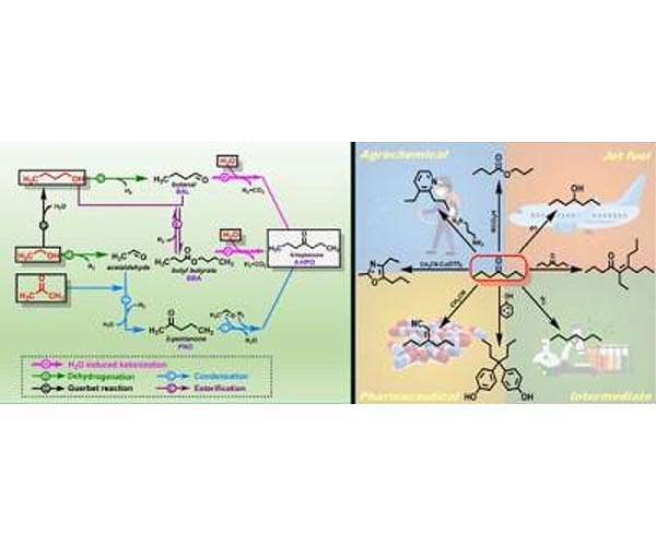 Researchers advance biomass transformation process