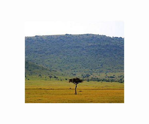 Carbon emissions in African savannas triple previous estimates