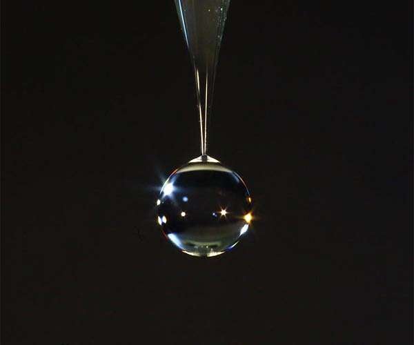 The tiny droplets that bounce without bursting