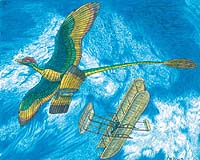 Wright Brothers Upstaged! Dinos Invented Biplanes