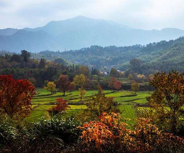 Study highlights carbon sequestration services provided by U.S. forests