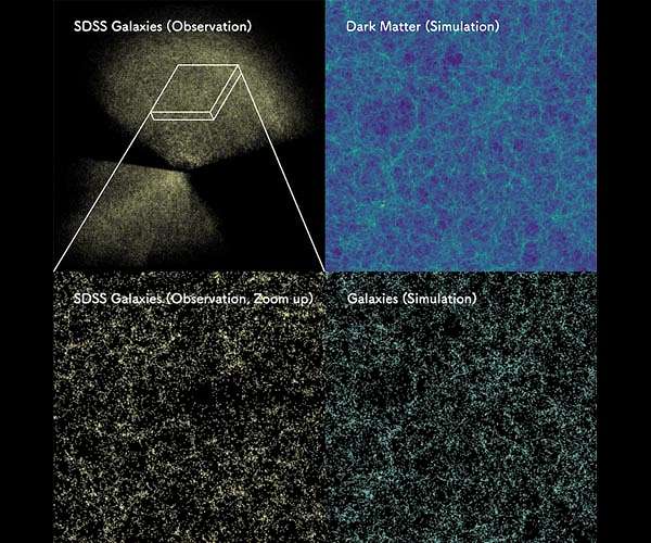 AI-assisted analysis of three-dimensional galaxy distribution in our Universe