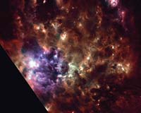 Stars Churning Away In Large Magellanic Cloud