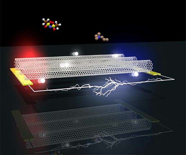 Solving the thermoelectric 'trade-off' conundrum with metallic carbon nanotubes