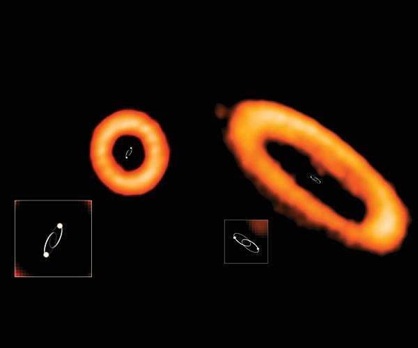 The Strange Orbits of 'Tatooine' Planetary Disks