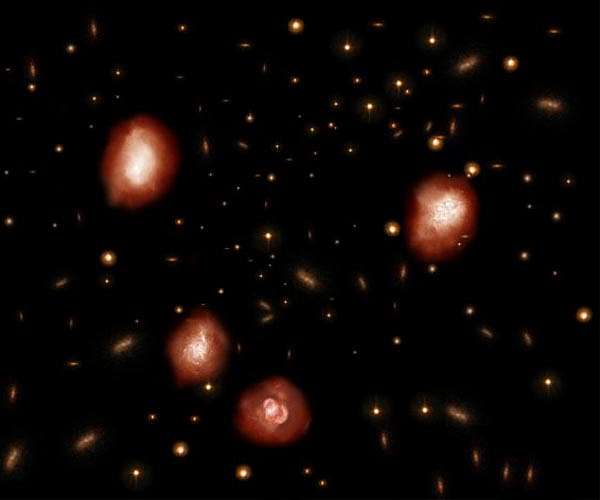 ALMA Identifies dark ancestors of massive elliptical galaxies