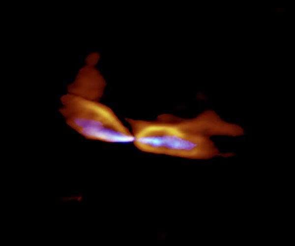 ALMA differentiates two birth cries from a single star