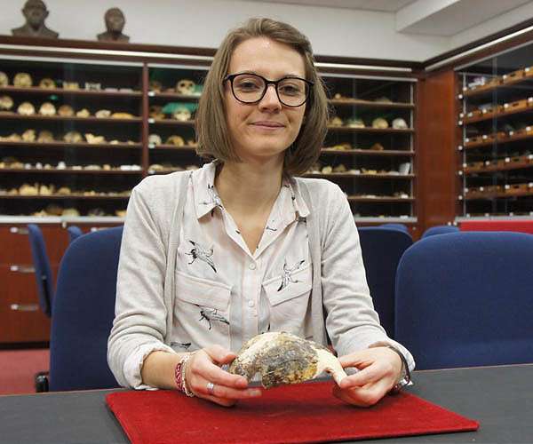 Cranium of a four-million-year-old hominin shows similarities to that of modern humans