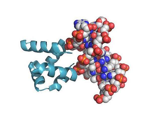 An experiment in recreating primordial proteins solves a long-standing riddle