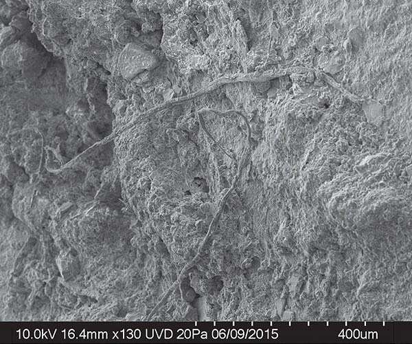 Ancient string discovery sheds light on Neanderthal life