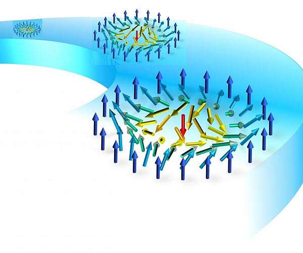 Two independent magnetic skyrmion phases discovered in a single material