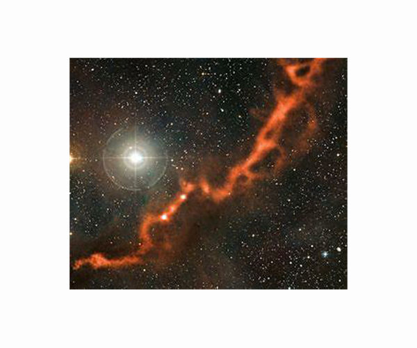 Unveiling the double origin of cosmic dust in the distant Universe