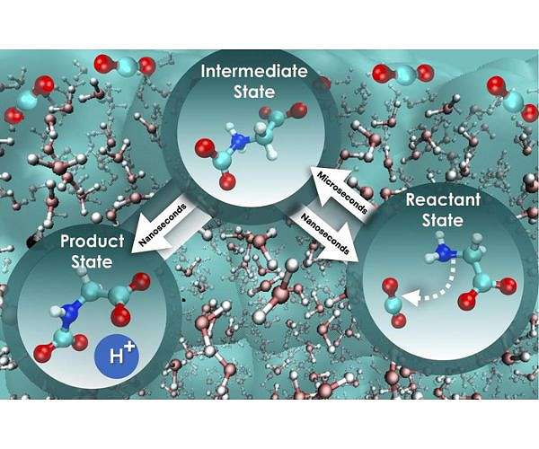 Researchers decode aqueous amino acid's potential for direct air capture of CO2