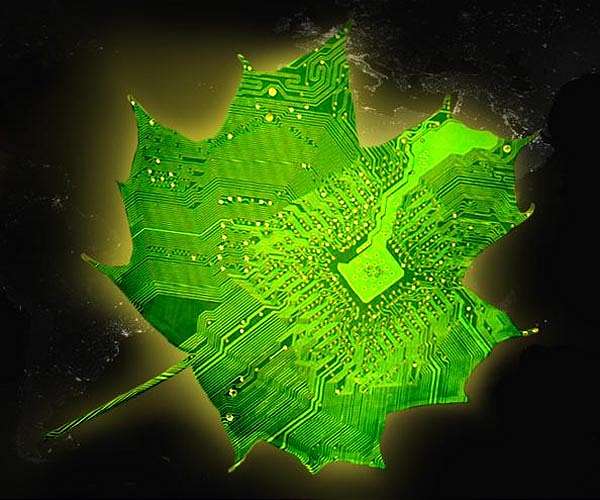It's givin' me excitations: U-M study uncovers first steps of photosynthesis