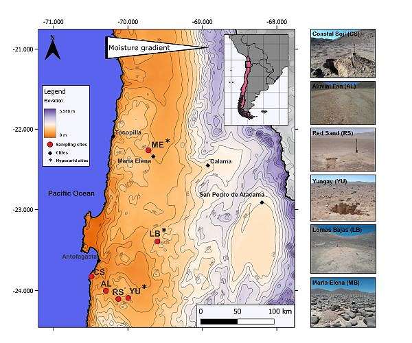 Living microbes identified in Earth's driest desert using new technique