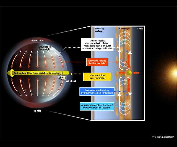 Atmospheric tidal waves maintain Venus' super-rotation
