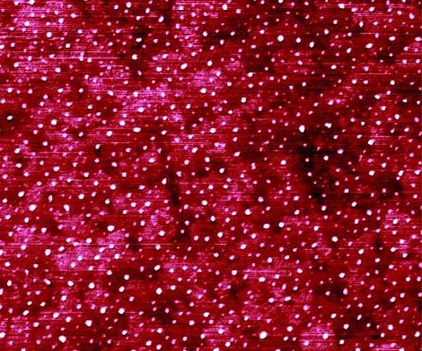 International research project investigates photosensitive carbon nanoparticles