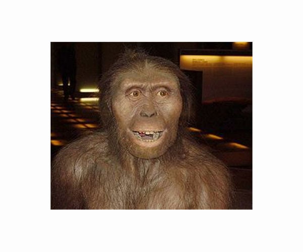 Face of Lucy's ancestors revealed by 3.8-million-year-old hominin skull in Ethiopia