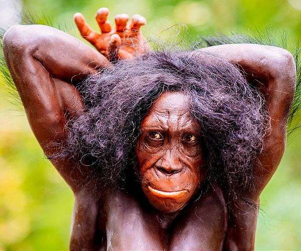 New Ethiopian fossil find reveals unknown Australopithecus species alongside early Homo