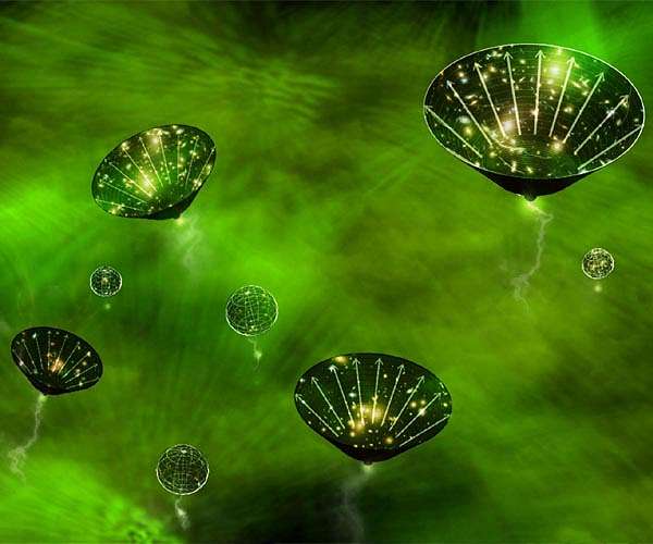 Primordial black holes and the search for dark matter from the multiverse