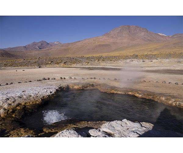 Bioactive compounds with industrial applications discovered in Andes bacteria