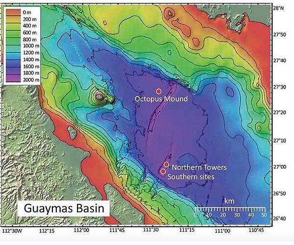 Some seafloor microbes can take the heat: And here's what they eat
