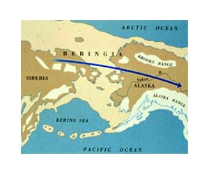 The Voyage To America