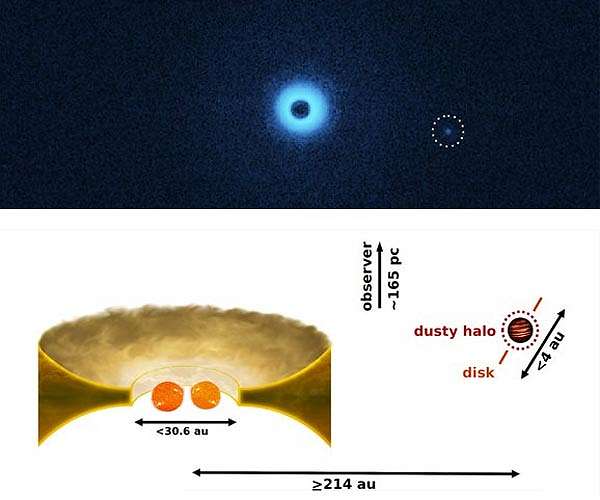Dutch astronomers photograph possible toddler planet by chance