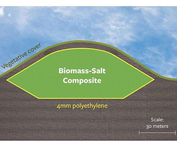 To more effectively sequester biomass and carbon, just add salt