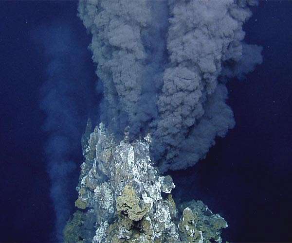 Unveiling hydrogen's role in life's early energy mechanisms