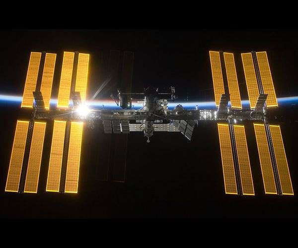 Space microbes aren't so alien after all