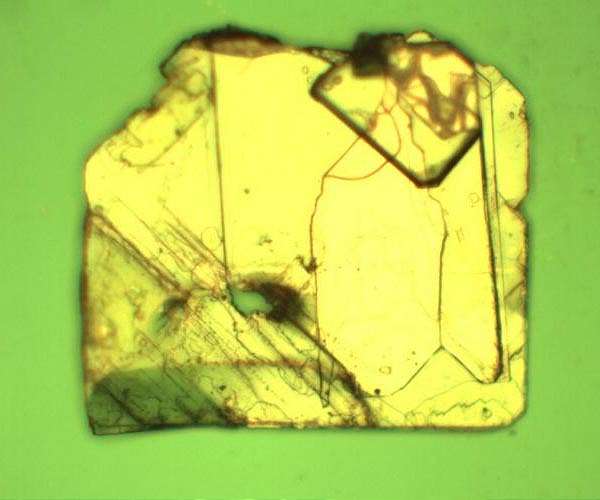 New insight for stabilizing halide perovskite via thiocyanate substitution