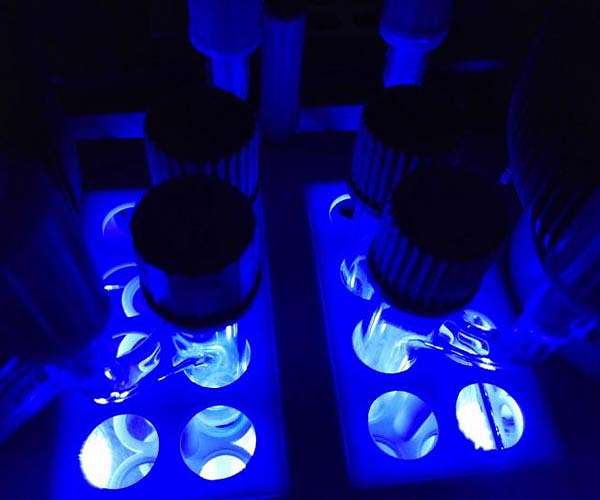 Chemists use light to build biologically active compounds