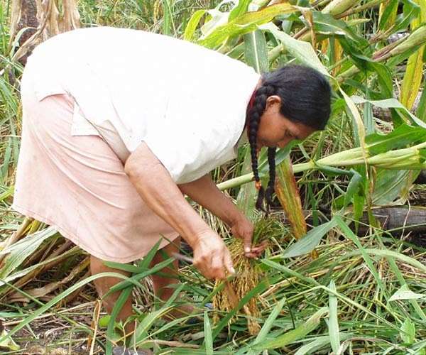 Anthropologists study the energetics of uniquely human subsistence strategies