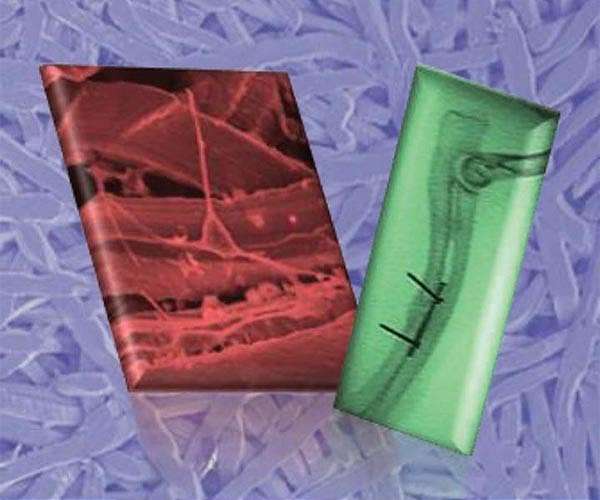 Scientists successfully test new, safer titanium plate for bone tissue repair