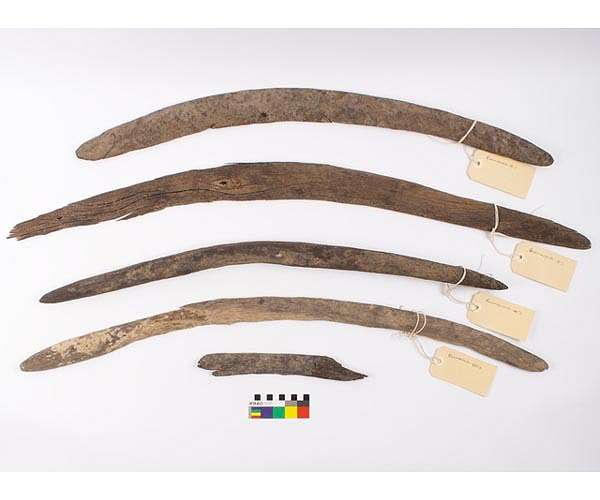 Rare boomerang collection from South Australia reveals a diverse past