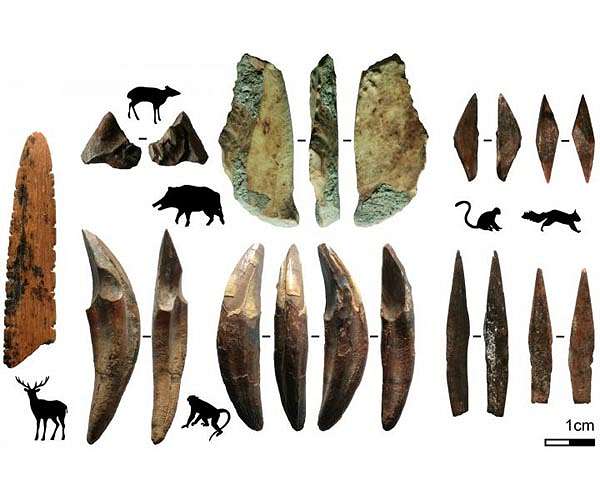 Discovery of oldest bow and arrow technology in Eurasia