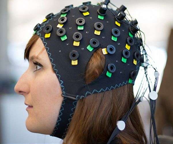 Culture may explain why brains have become bigger