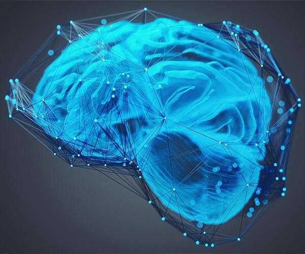 Relay station in the brain controls an array of movements