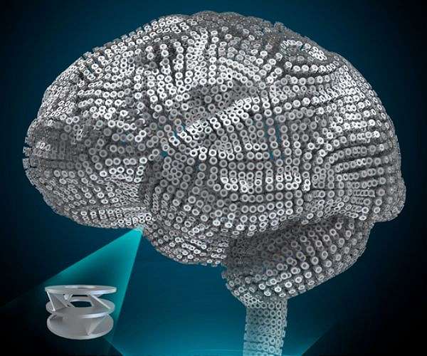Hormone cycles shape the structure and function of key memory regions in the brain