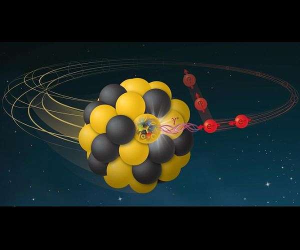 Real-time tracking of atomic nucleus magnetism achieved in quantum experiment