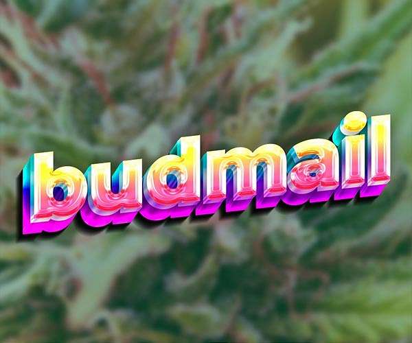 Budmail announces launch of dispensary e-commerce platform