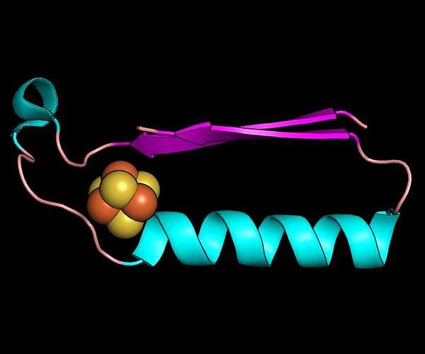 Scientists have discovered the origins of the building blocks of life