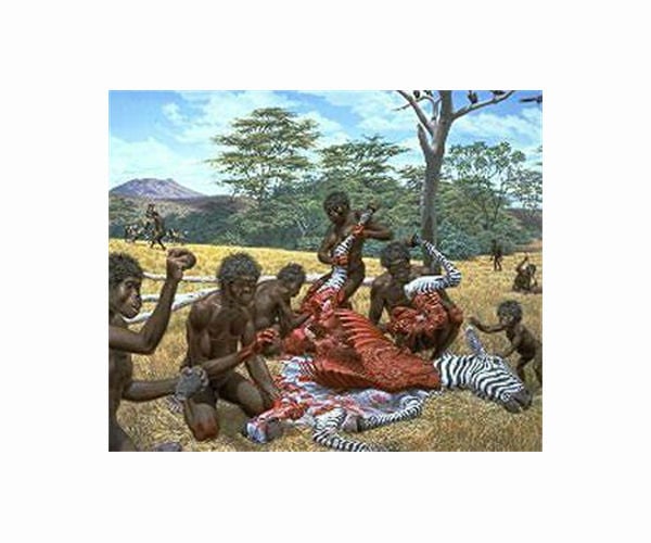 Humans' evolutionary relatives butchered one another 1.45 million years ago