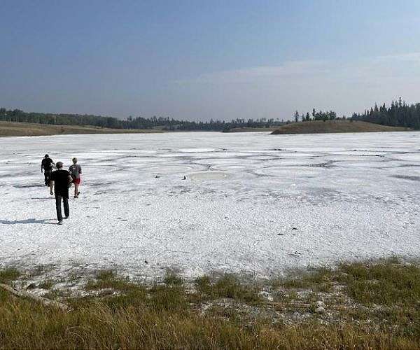 Shallow soda lakes show promise as cradles of life on Earth