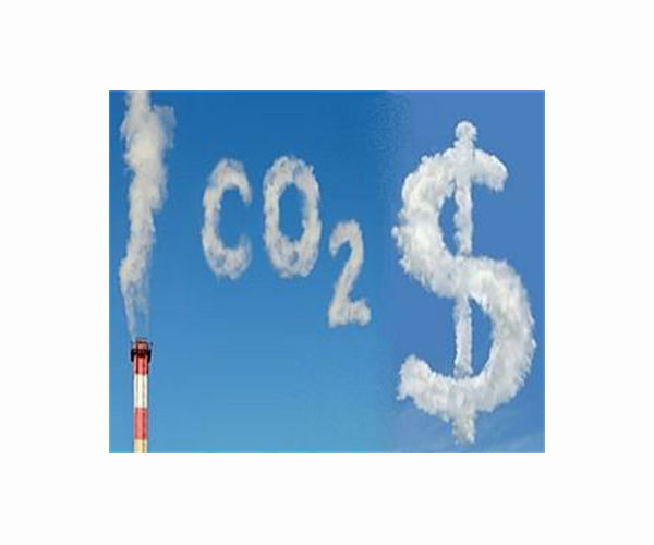 Carbon offsets: a booming market or greenwashing?