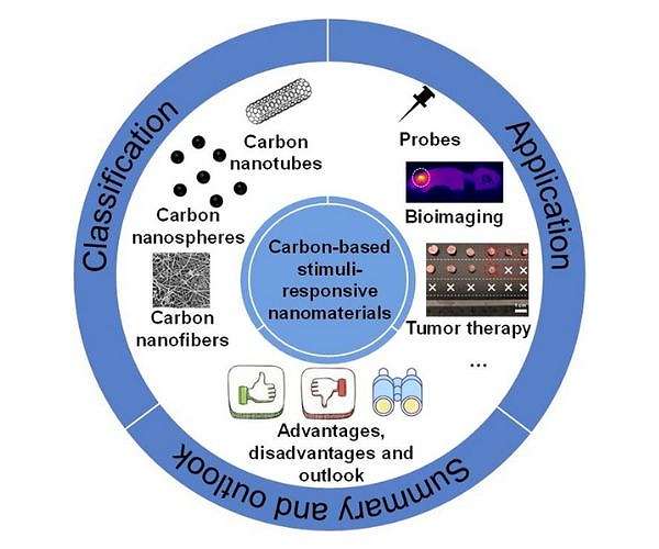 Carbon-Based Stimuli-Responsive Nanomaterials: The Future of Biomedical Application